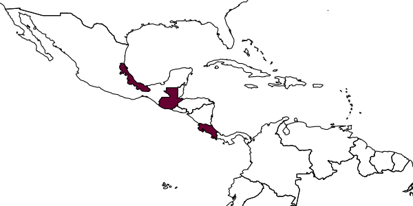 map of Epirhyssa theloides     Porter, 1978